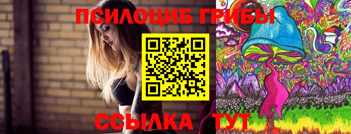 Самара  Псилоцибиновые грибы Magic Shrooms  Галлюциногенные грибы Magic Shrooms  Вход с VPN 